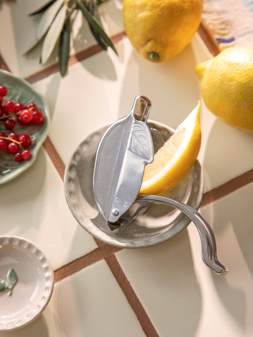 Lemon squeezer Stainless 10 x x Silver Grey