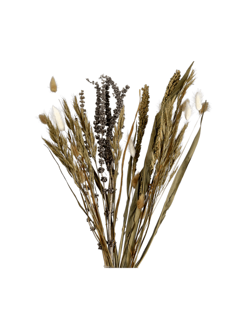 Gemischte Trockenblumen | 60 cm