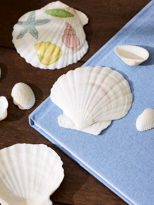 Muschelschalen | 20Stck. | Off White