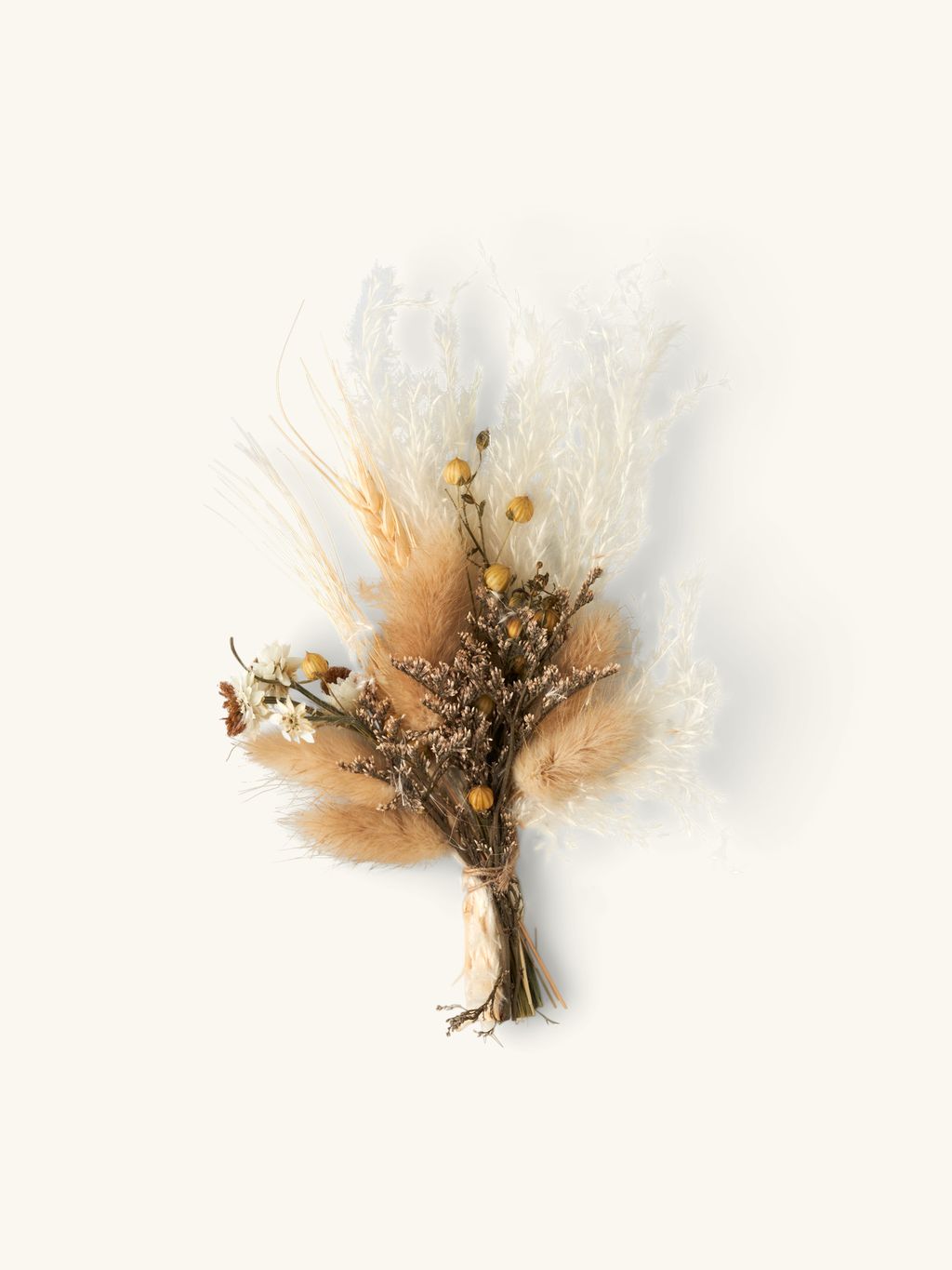 LAUMOE Gedroogde Bloemen, 6 Bundels Veelkleurig, Natuurlijke Stijl voor Huisdecoratie, DIY Ambachten, Hars Bloemenambachten, Wenskaarten, Geschenken