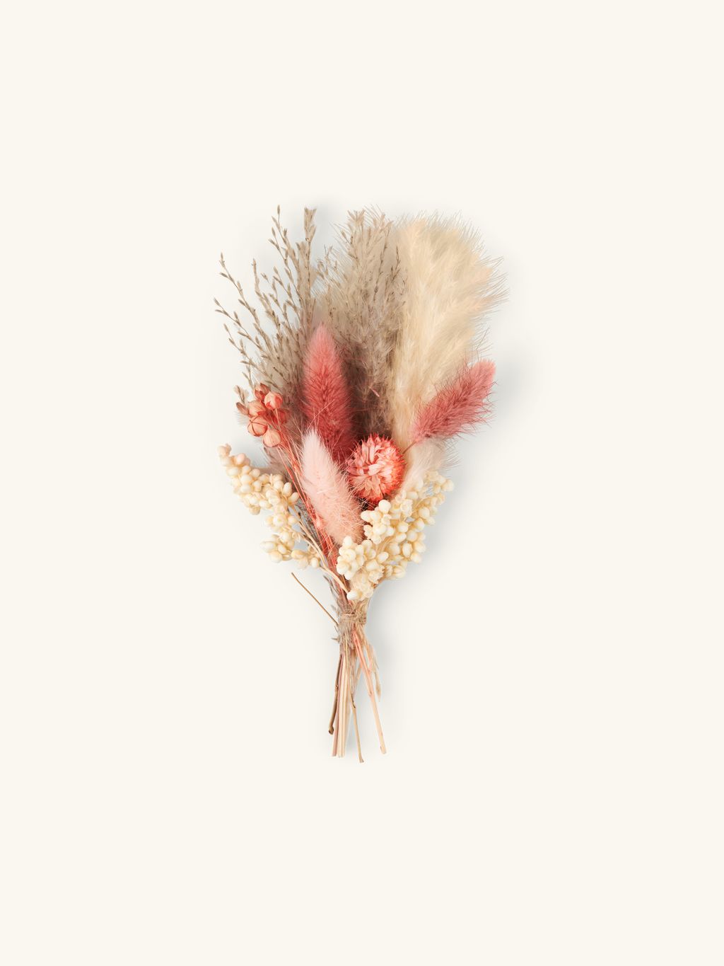 Trockenblumen zum Basteln | Getrocknete Blumen