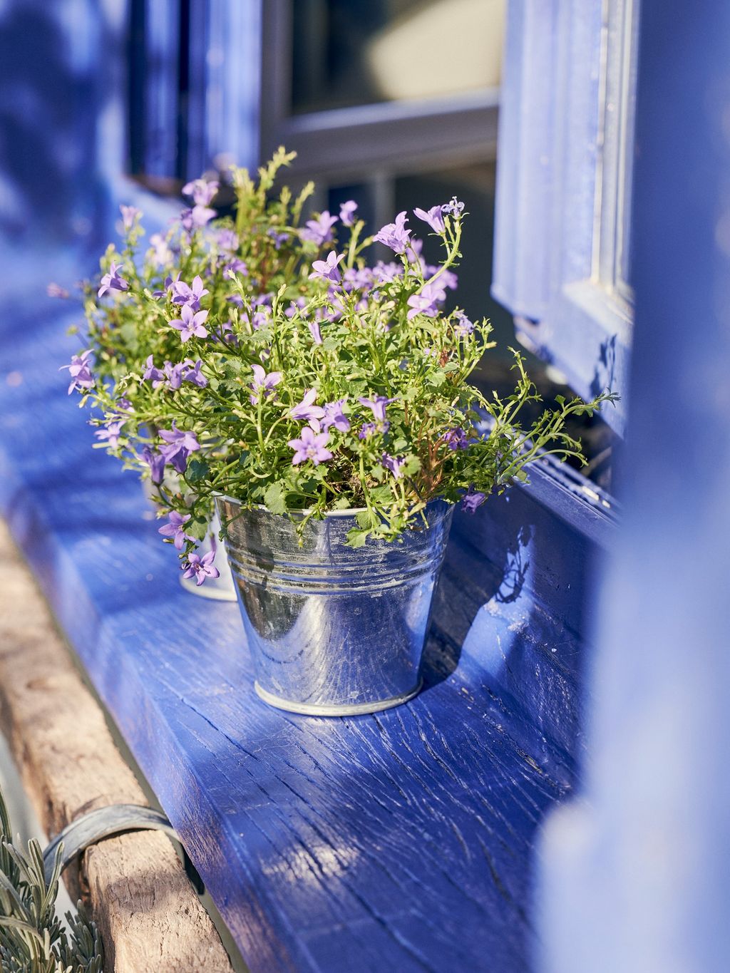 blumenkasten innenbereich Susteelable Wandblumenkasten grn kaufen