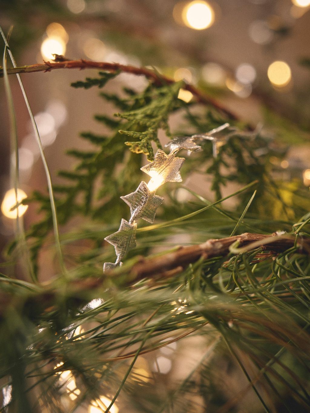 LED-Lichterkette Sterne | 200 cm. 20 LEDs