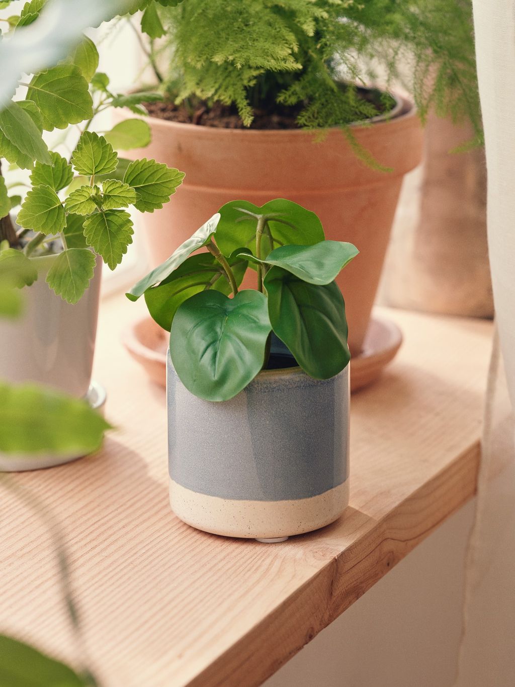 Sottovaso per vaso da fiori in polipropilene color verde H 3.3 x 26 | Leroy Merlin