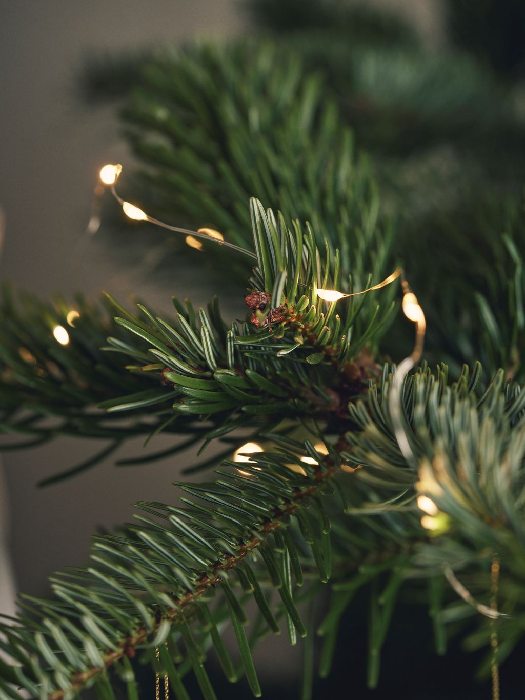 Guirlande lumineuse à LED | 125 cm. | White