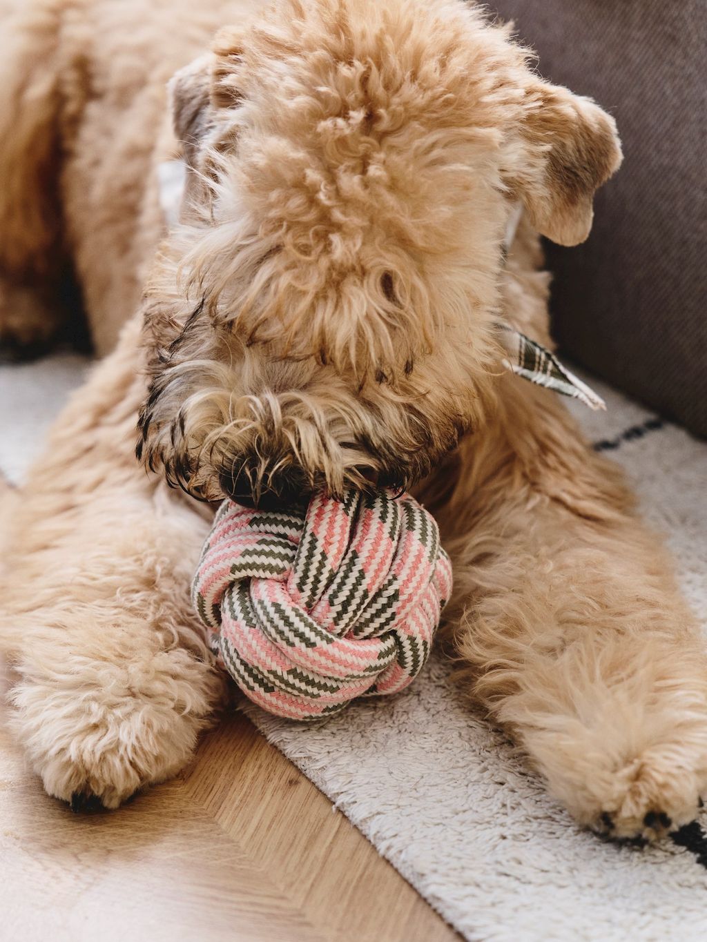 Hundespielzeug aus Seil mit Ball | 15 x 15 x 15 cm. | Off White