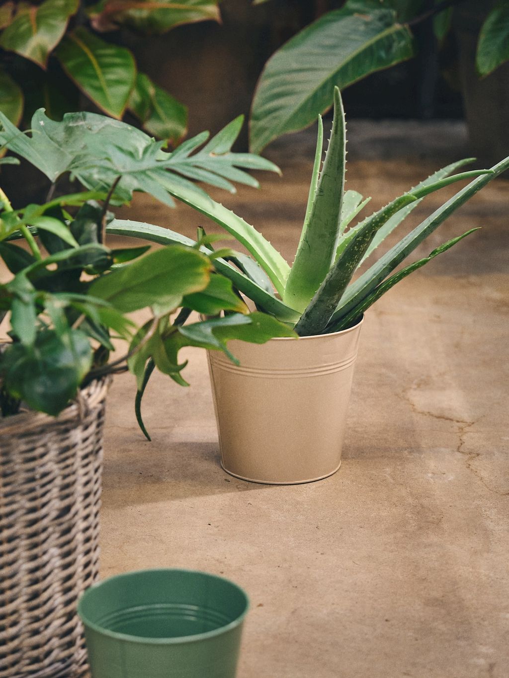 Set di 2 vasi per piante 43 cm Beige Camia | Maisons du Monde