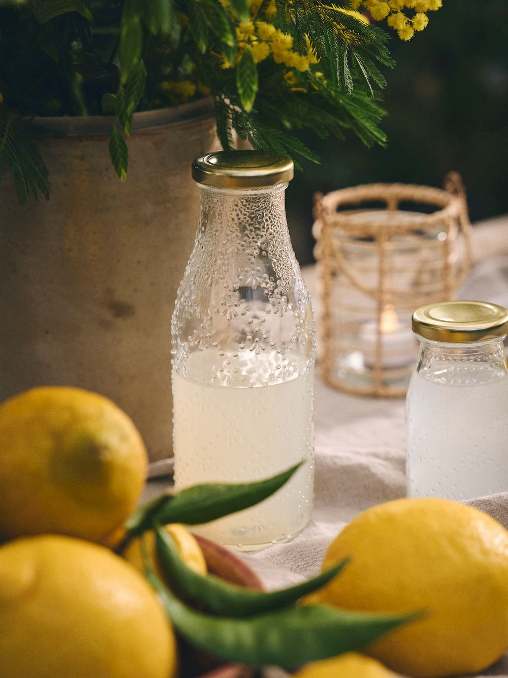 Stock Your Home Bottiglia per latte in vetro con coperchio e manico, 1 confezione da 1,18 l, 2 tappi riutilizzabili, contenitore per latte per frigorifero, bottiglie di succo, acqua, latte di