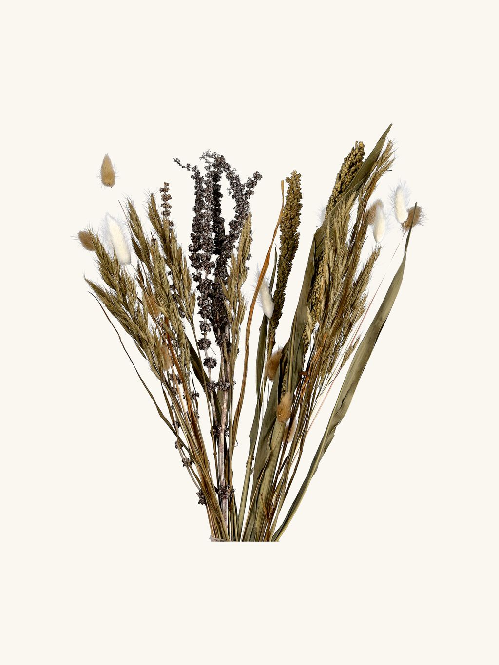 Gemischte Trockenblumen | 60 cm