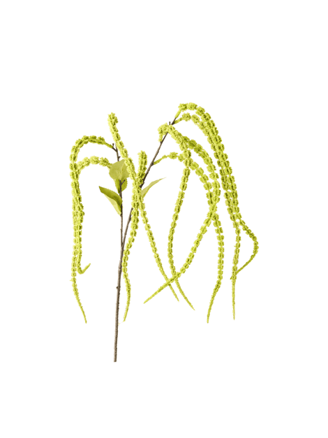 Setaria viridis artificielle | 50 cm. | Green