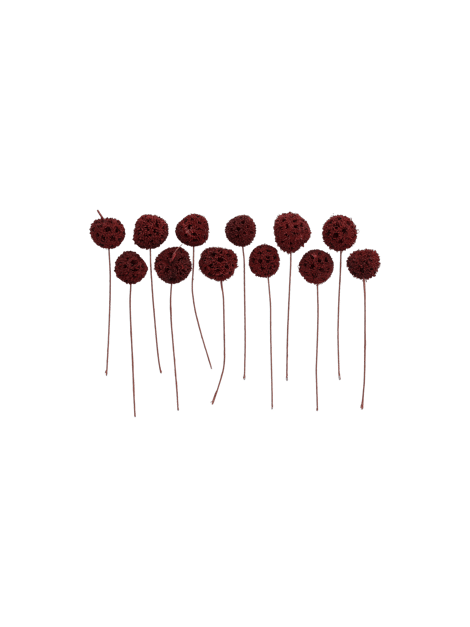 Dekorative Trockenblumen | Getrocknetes biologisches Material. 30 g